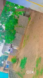 Indian pectrol Bunk degra
