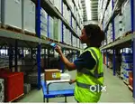 Wanted Delivery Boy - Fursingi