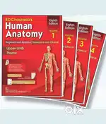 Human anatomy book by author bd chaurasia