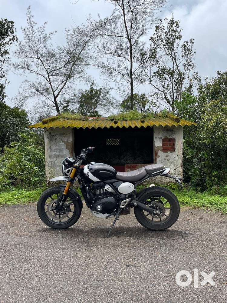 24 months old Triump scrambler x