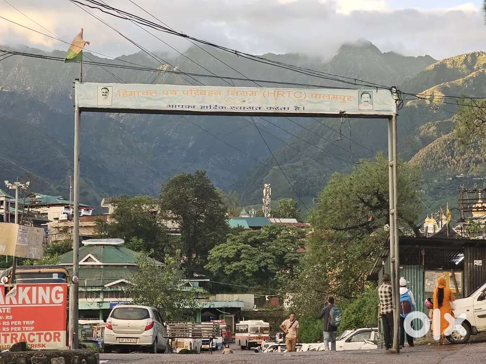 I want to rent out my 2 properties in Palampur(Only company/mall/bank)