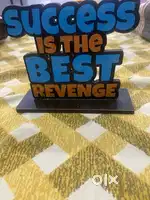 SUCCESS IS THE BEST REVENGE