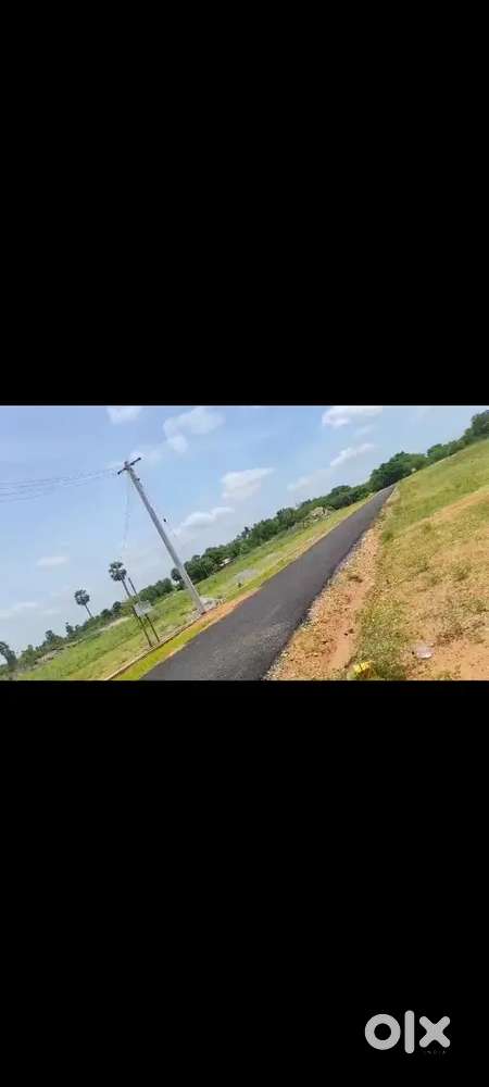 Land for sale urgent - 39 cent