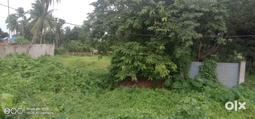 10 katha plot on Kalyani Bypass main road