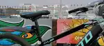 Front & Rear 12 Gear Bicycle – Lightweight & Stylish,Well Maintained