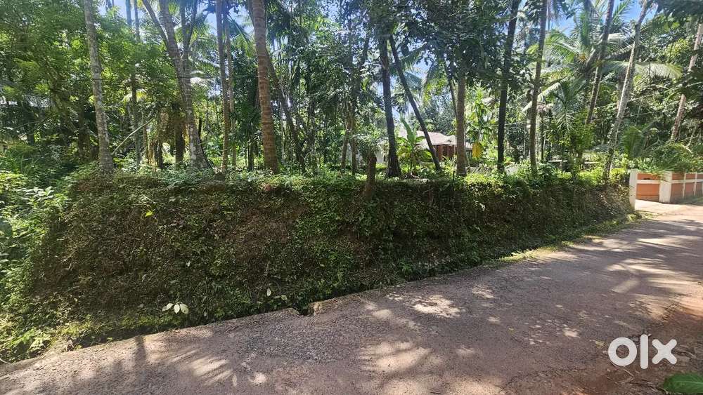കീഴല്‍ ക്ഷേത്രത്തിനും മസ്ജിദ്നും സമീപം 12സെന്‍റ്  സ്ഥലം റോഡ് സമീപം