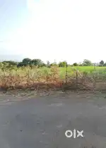 Road Touch Farm Land for Sale - Kotoli_Bandivade Road
