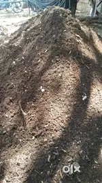 Organic varmi compost