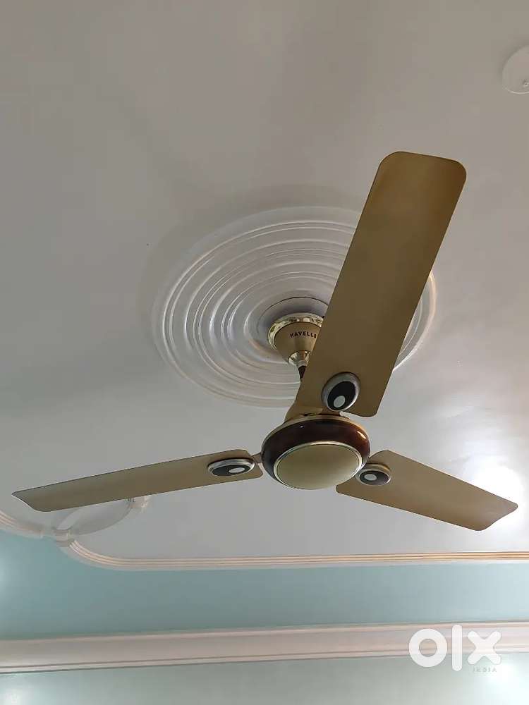 Havells Ceiling   2 fans