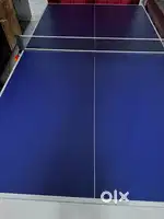 Table Tennis Table
