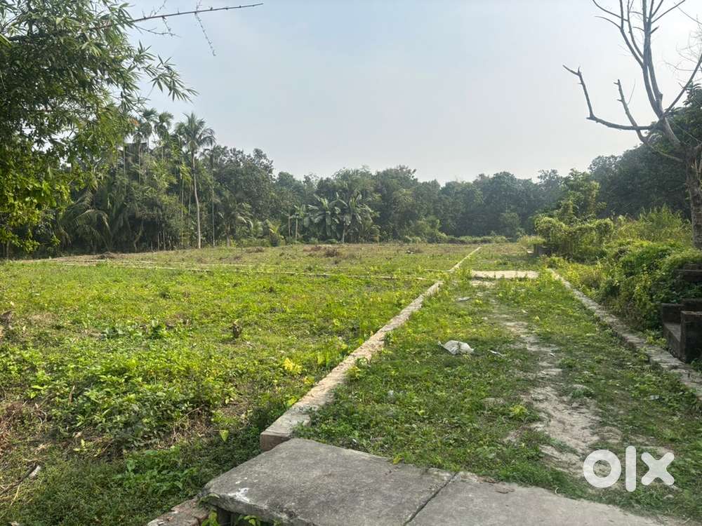 2 to 20 Katha Residential Plot  Noth east facing  12 ft Road