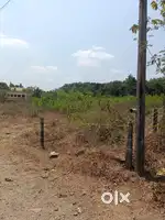 110 cent land sale at Maddadka, Belthangady
