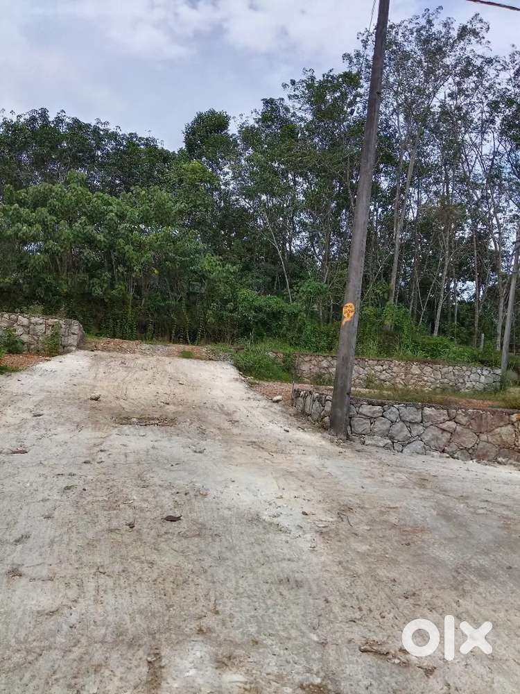 Cent വില രണ്ടേകാൽ ലക്ഷം