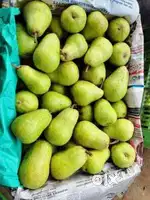 Need delivery boy for fruits and vegetable