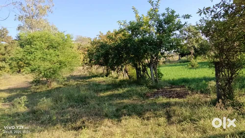 Airport Road parvaliya sadak