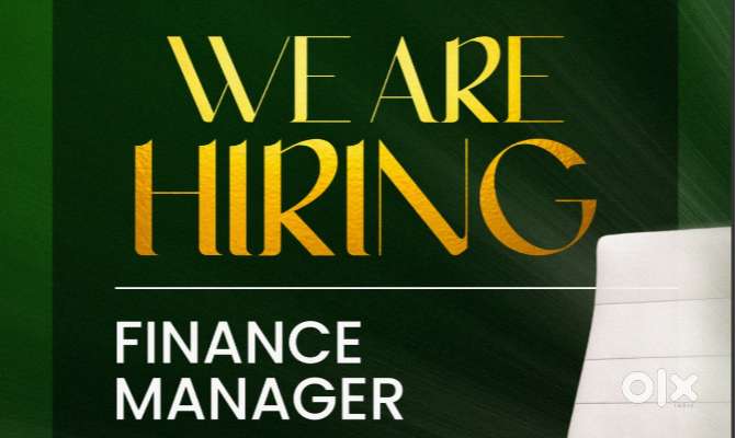 Finance Manager