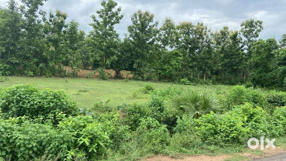 10 cents land for sale each cent 3Lakhs @ dakamarri village road