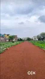 Ekta Chauk Saddu