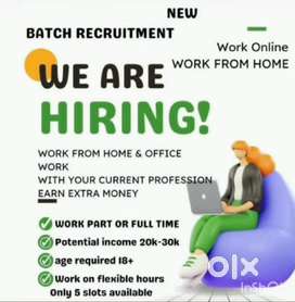 Work from home  house wife and student's