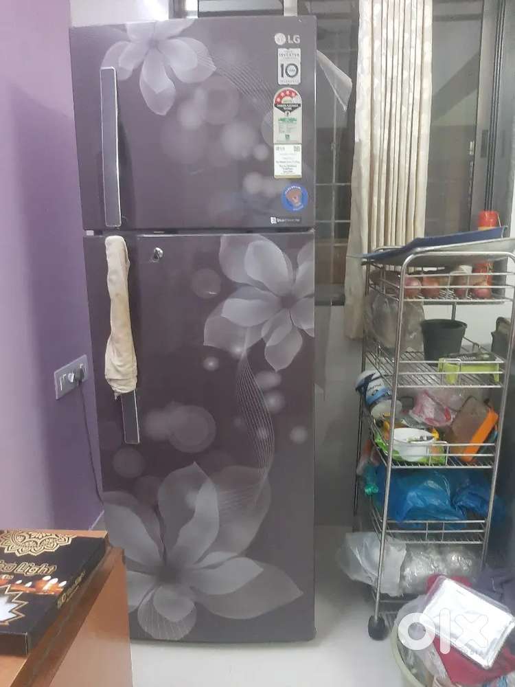 LG Double door 308 liter