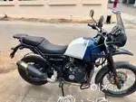 Very less used himalayan