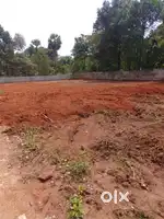 Land for sales near Villukuri