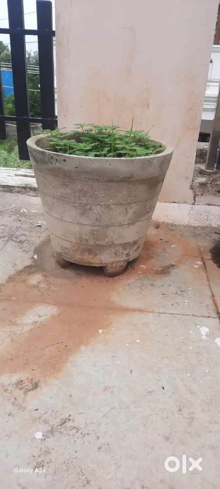 Gardening cement pot