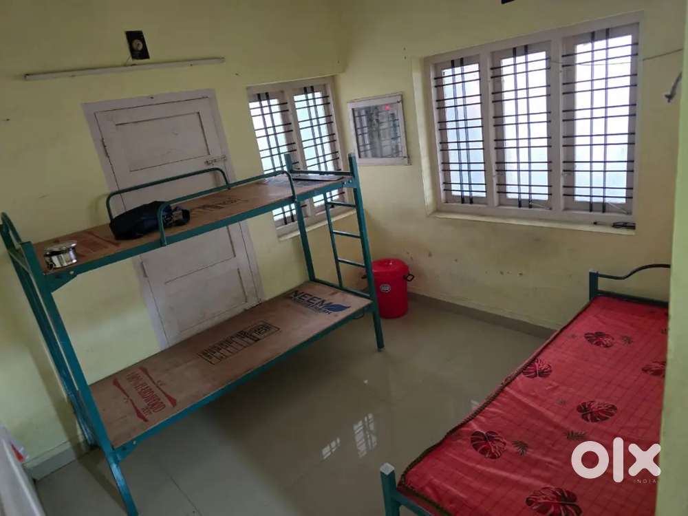 GENTS PG AVAILABLE (kaloor)