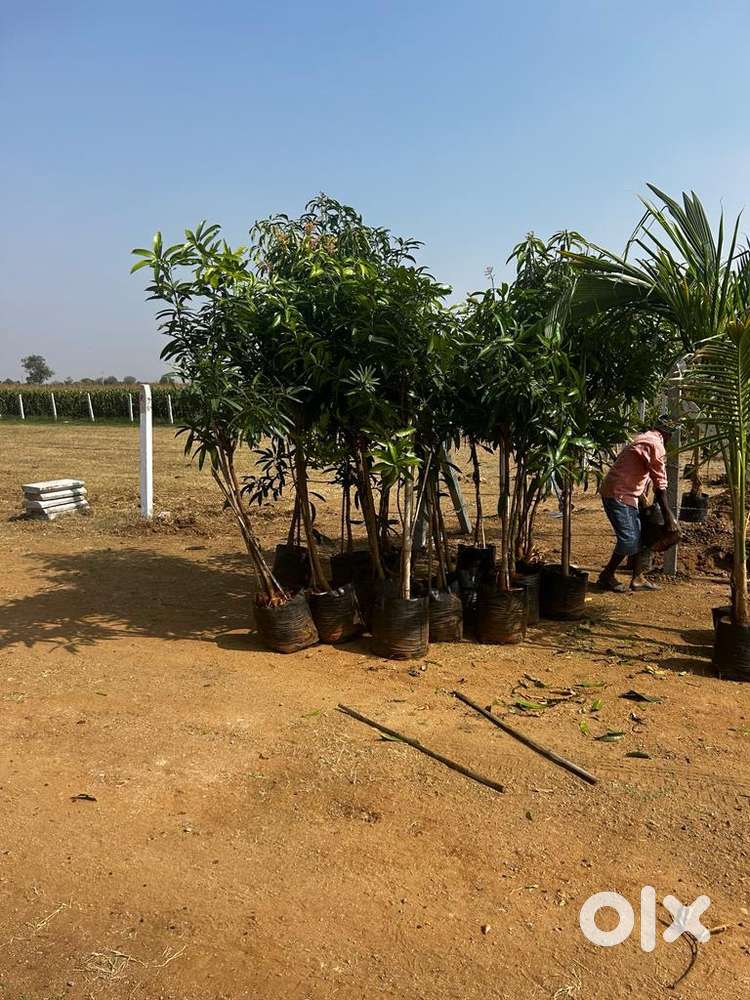 Amanagal FOURTH CITY LIMITS, 1899/- per syd , shreeshailam HAIWAY