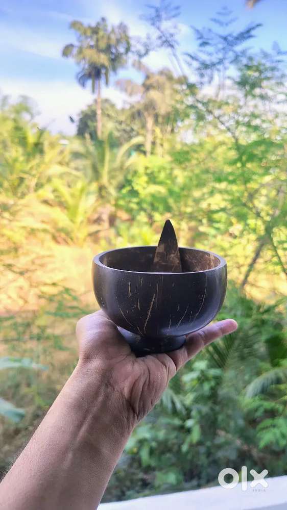 Coconut Shell Icecream Cups and Jumbo Bowls