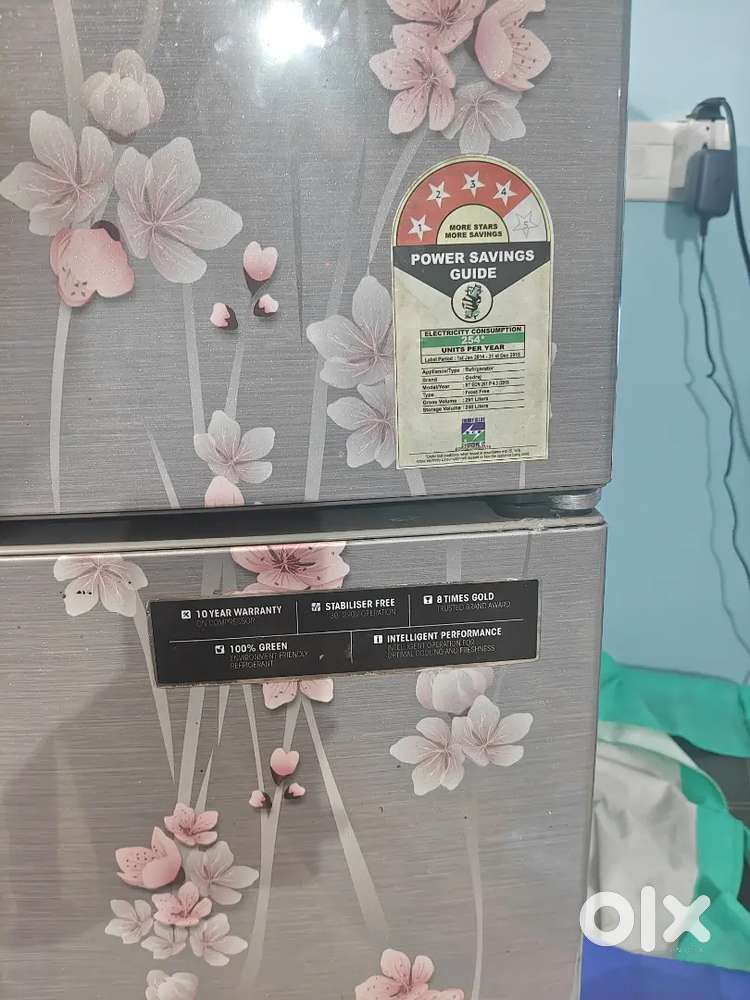 Godrej Eon Double Door Fridge 261 Ltr – 4 Star – Good Condition