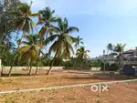 Plot for sale 4, 5, 5.500 cent.