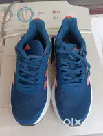 Adidas original
