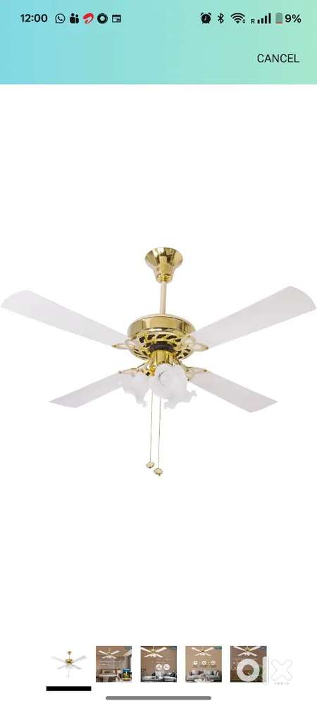 Ceiling fan with lights