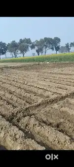 3 bigha jameen hai plotting ki main road pr