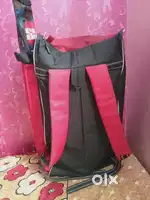 NEW SS CRICKET KIT
