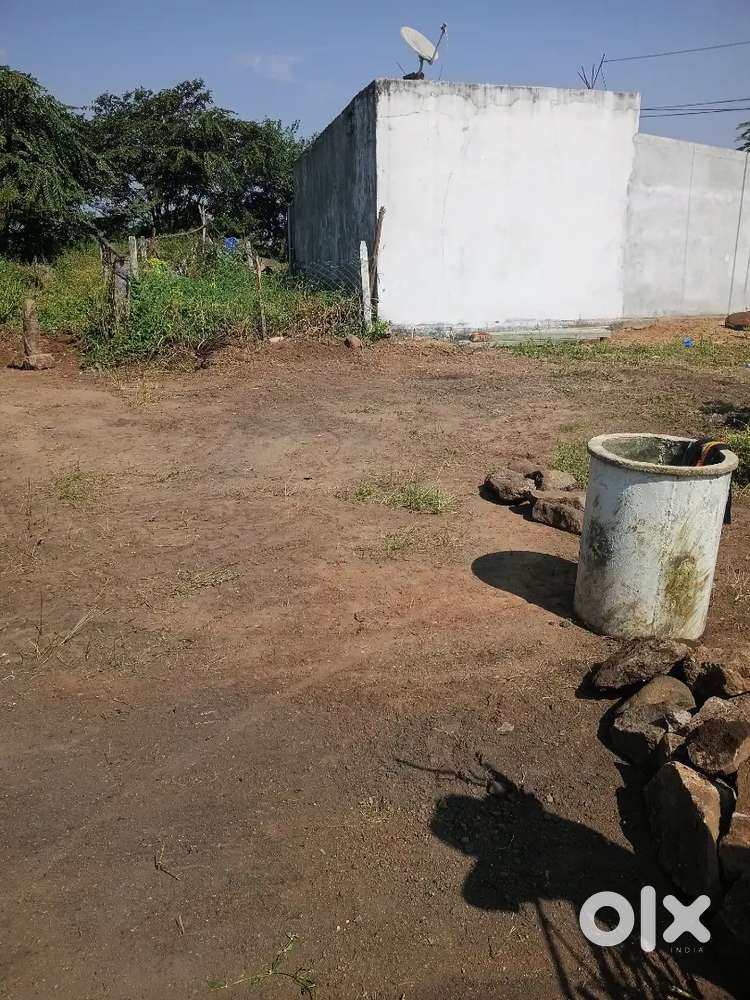 Open Polt  best location