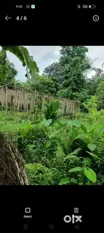 Land in borboruah 3 katha dibrugarh