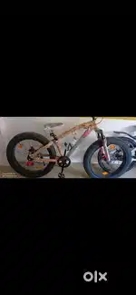 Avon fat bike