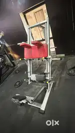 Leg press, leg extension