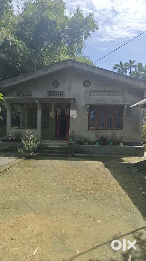 Assam type house, new model assam type house