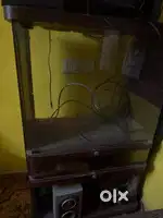 Stand for tv and other appliances