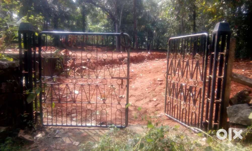 61 Cent Square Plot near Ottapalam (near Munnurcode Gov. High school)