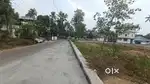 NEAR ANGAMALY THURAVOOR 5, 8, 10 CENT PLOTS