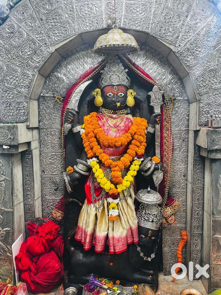 चांपा मनका पब्लिक स्कूल रोड मेन धरशा डबल रोड 60 फीट एवं 20 फिट