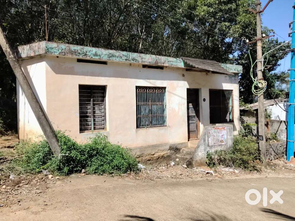 Rent old tea shop