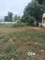 Mgr nagar pillaiyarpatti