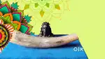 God siva sangu for sale