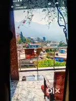 Single Room for rent with almirah and well tile