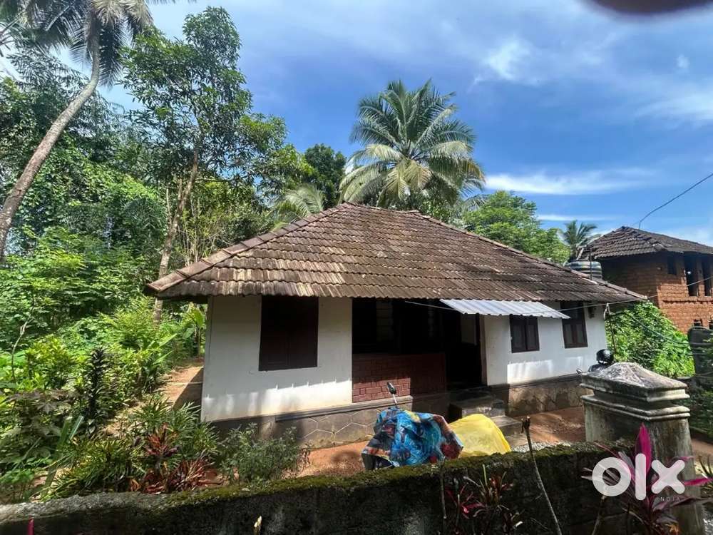 Plot for sale at velur centre
